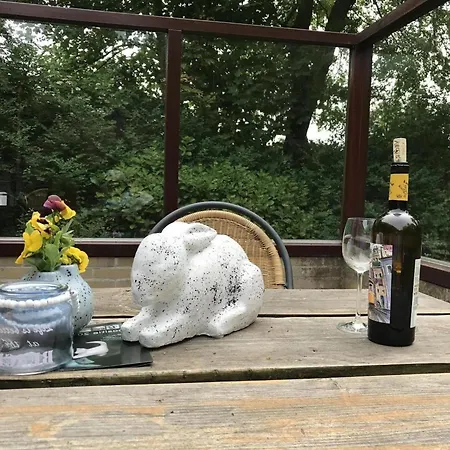 Vakantiehuis For 4 People In Wildrijk